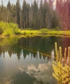 Nina_Dobrev_Little_Crater_Lake_Oregon_05.jpg