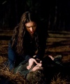 the_vampire_diaries--1x17_Let_the_Right_One_In_08.jpg
